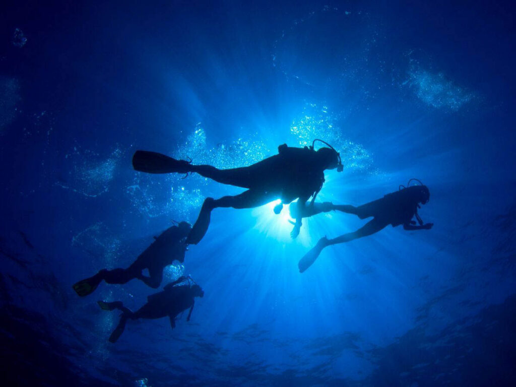 A buddy check does not end at the surface. Divers
