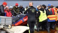 Australian rescue workers had to settle Thursday for the euthanasia of “pilot dolphins” who escaped after being stranded in the Gulf of Tasmania, while their 380 convoys were already extinct. The race against time, four days ago, has rescued 88 […]
