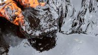 More than 1,000 tons of black tar has washed up on Israel’s coastline from Libyan-owned tanker that was spilling the crude oil into the Mediterranean Sea. Officials are calling it one of Israel’s worst ecological disasters in decades and are […]