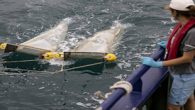Plankton ekolojisti Doç. Dr. Ülgen Aytan tarafından 2013’te kurulan PLASTON, Türkiye denizlerindeki plastik kirliliği ve etkilerini, denizlerde planktonla eş zamanlı dağılım gösteren mikroplastikleri gözlemliyor. Recep Tayyip Erdoğan Üniversitesi Su Ürünleri Fakültesi Su Ürünleri Temel Bilimleri Bölümü Deniz Biyolojisi Anabilim Dalı […]