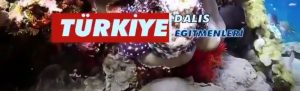 Türkiye Dalış Eğitmenleri
