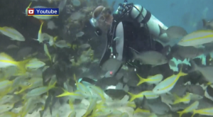 MIAMI (CBSMiami) – The Florida Keys are known for their