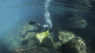 Just how much trash is lurking under Lake Tahoe’s surface? Nobody knows – but it will be a lot less after a multi-month cleanup effort to clear rubbish from the lake’s bottom. Starting May 14, teams of professional and volunteer […]