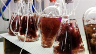 By Ben Coxworth As is the case with other types of livestock farming, antibiotics are widely used in aquaculture to prevent disease. There may soon be a healthier and more eco-friendly alternative though, in the form of seaweed added to […]