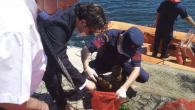 Çanakkale’de 5 Haziran Dünya Çevre Günü kapsamında etkinlikler düzenlendi. Cumhuriyet Meydanı’nda çelenk sunma töreni ile başlayan program, denizden çıkarılan atıkların marina’da sergilenmesi ile devam etti. 5 Haziran 1972’de İsveç’in Stockholm şehrinde düzenlenen Birleşmiş Milletler İnsan Çevresi Konferansı sonrasında her yıl […]
