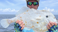 A recent catch by a Florida angler has led some people to comment that the peculiar-looking fish resembles a flour tortilla. Thomas Bosworth landed the roundish white fish with brown speckles and did not recognize what he had caught so […]