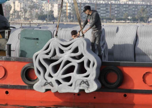 Türkiye’de ilk kez 3D yazıcıyla üretilen yapay resifler, Mersin’de denize