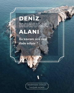 Bu gönderiyi Instagram'da gör Deniz Yaşamını Koruma Derneği (@denizyasaminikoruma)'in paylaştığı