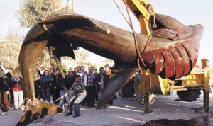 Bilim insanları dünya genelinde azalan canlı türlerinin korunması için uyarılarını