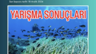             Bu gönderiyi Instagram’da gör                         SUFOD (@s.u.f.o.d)’in paylaştığı bir gönderi