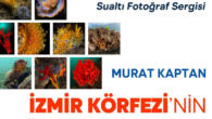 Bu gönderiyi Instagram'da gör İzBB Kültür Sanat (@izbbkultursanat)'in paylaştığı bir gönderi