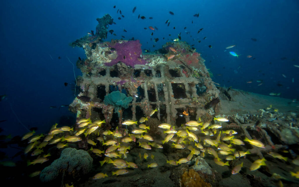 Emperor Divers has expanded its daily diving operations with the