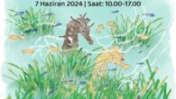 Baskı Altında AkdenizDeniz Çayırlarını Korumak7 HaziranÖzel Bodrum Marmara KolejiBekliyoruz..! pic.twitter.com/8hQEugZ4e5 — SUALTI ARAŞTIRMALARI DERNEĞİ (@SAD_underwater) June 4, 2024