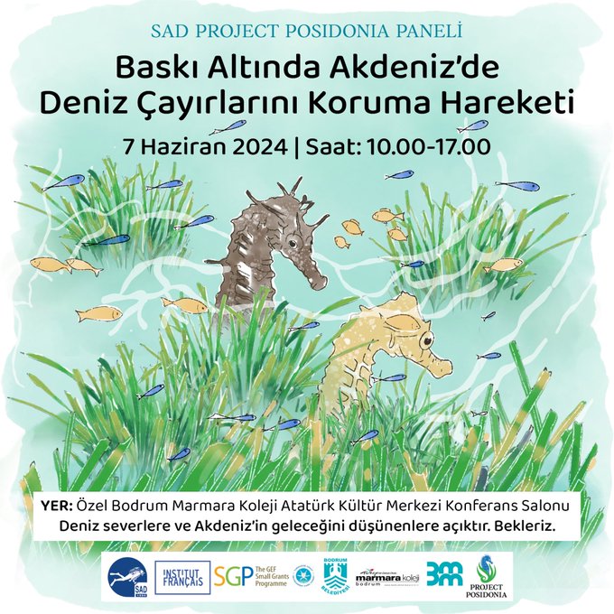 Baskı Altında AkdenizDeniz Çayırlarını Korumak7 HaziranÖzel Bodrum Marmara KolejiBekliyoruz..! pic.twitter.com/8hQEugZ4e5