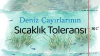 Deniz çayırları aşağıdaki koşullar altında gelişir: Tuzlu veya yarı tuzlu su. Çoğu deniz çayırları türü, yaklaşık 20°C sıcaklıkta 10-30 PSU tuzluluk düzeyinde iyi gelişir. En hızlı büyüme hızları yaklaşık 20 PSU tuzlulukta kaydedilmiştir. Fotosentez için ışığa ihtiyaç duyarlar. Işık koşullarına […]