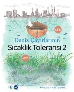 Araştırmalarda sıcaklığa daha toleranslı C. nodosa önümüzdeki on yıllarda ısınmadan