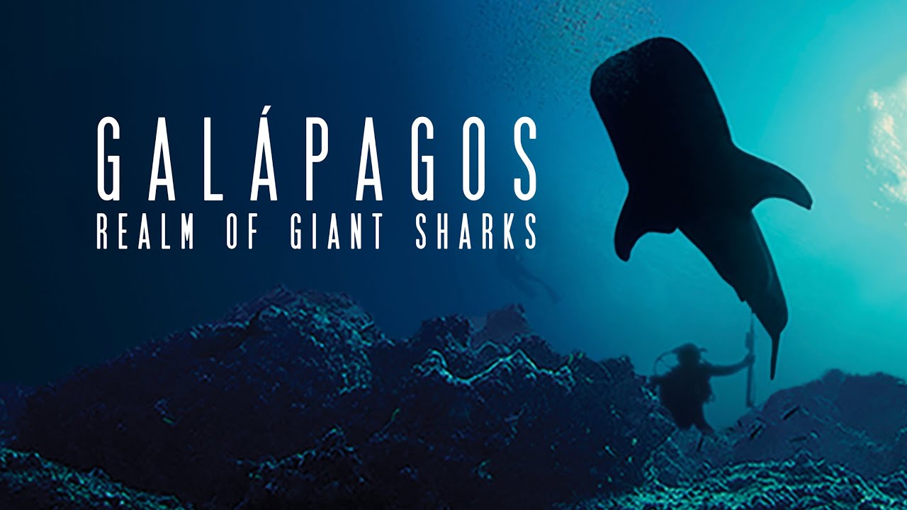 This extraordinary production follows a group of researchers to the