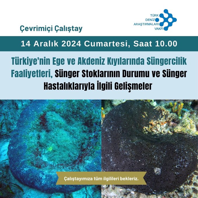 Türk Deniz Araştırmaları Vakfı, 14 Aralık 2024 tarihinde, ‘’Türkiye’nin Ege
