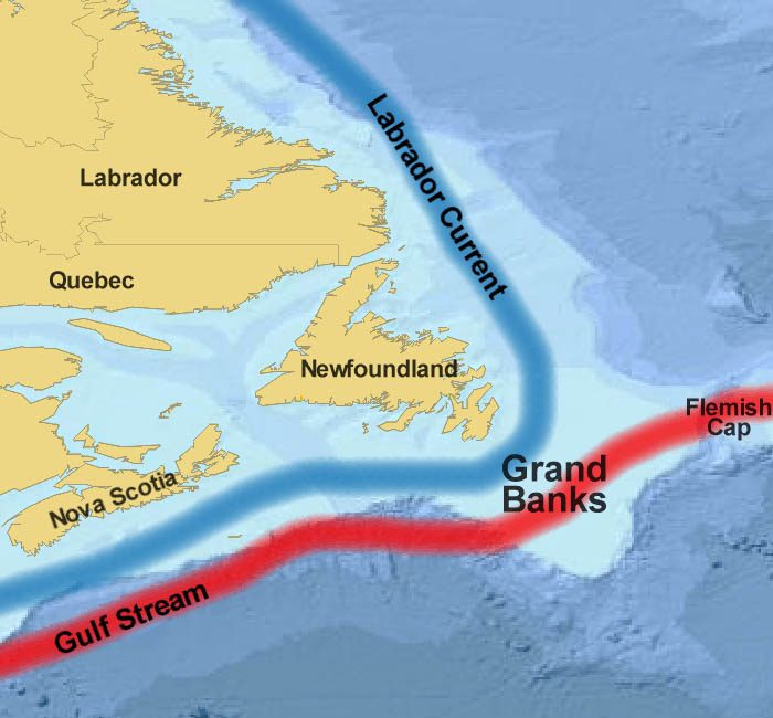 The Grand Banks of Newfoundland are a series of submerged