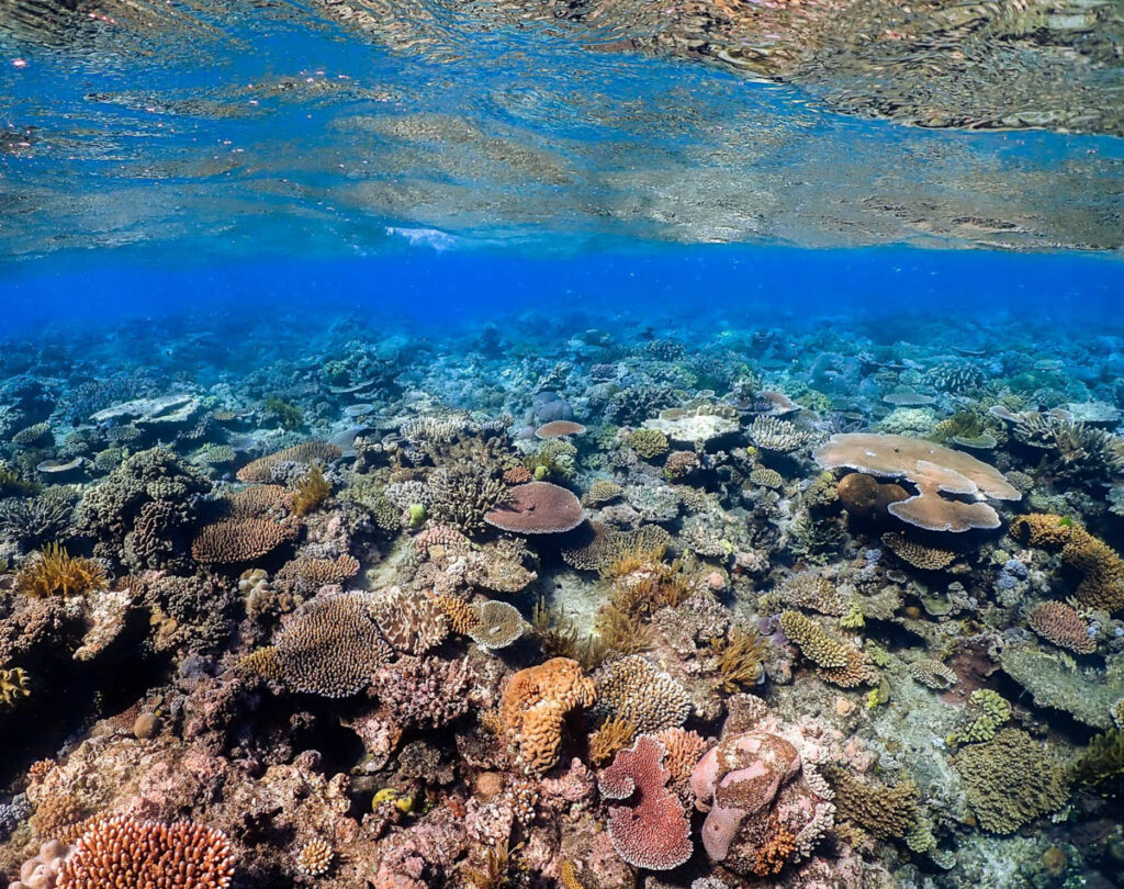 What the Ocean Can Teach Us About Patience The ocean does not treat patience as a personality trait.