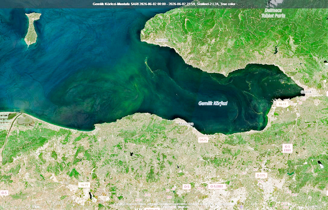 Son haftalarda Marmara'da farklı bölgeler farklı renklerde deniz görüyoruz. Boğazda