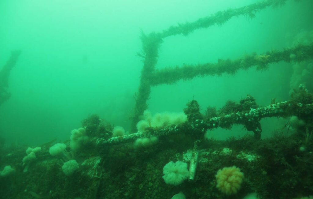 Three Divers Descended – Only One Returned: The HMS Scylla Incident The 2021 tragedy aboard the HMS Scylla remains one of