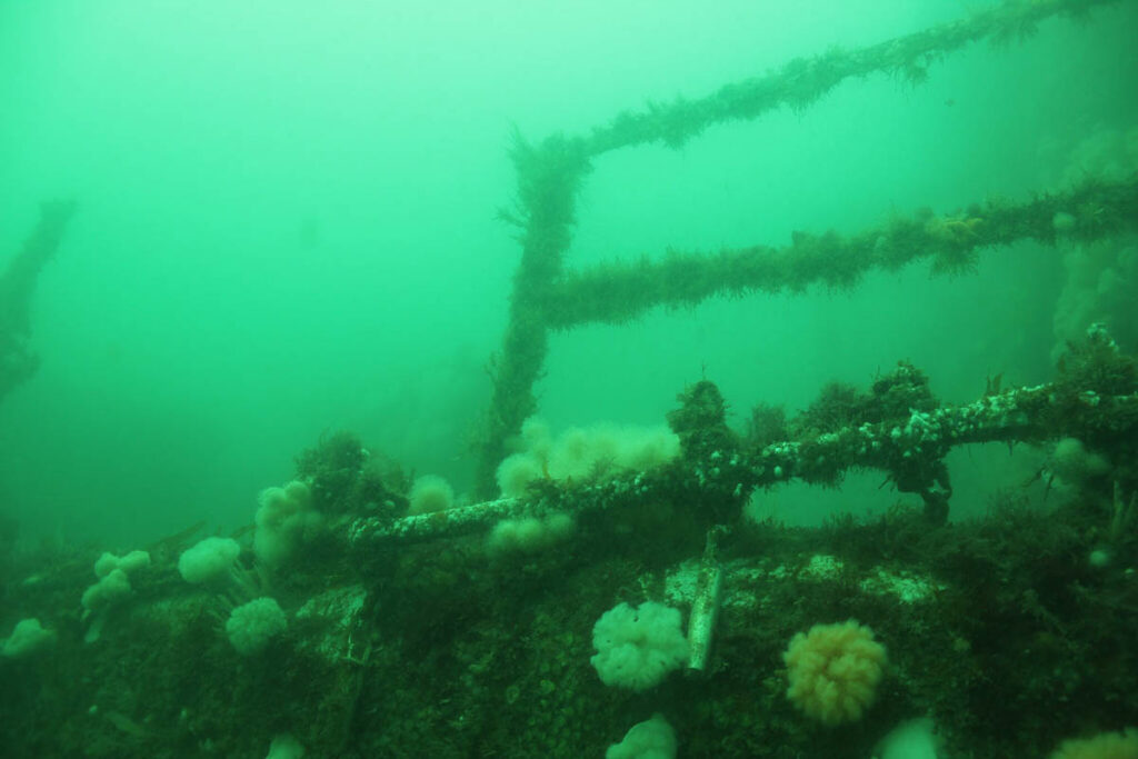 Three Divers Descended – Only One Returned: The HMS Scylla Incident The 2021 tragedy aboard the HMS Scylla remains one of