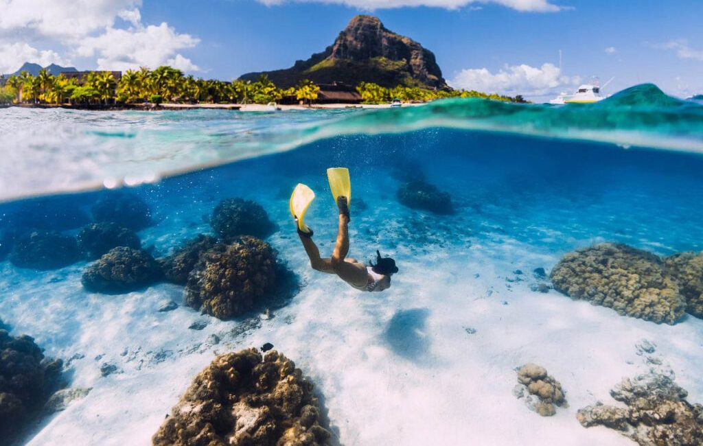 Healthy coral reefs are more than vibrant underwater ecosystems, they