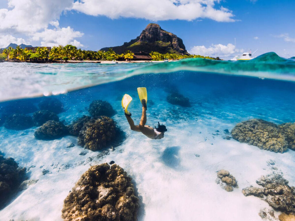 Healthy coral reefs are more than vibrant underwater ecosystems, they