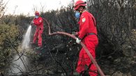 AKUT Kuşadası ekibimiz, Aydın’ın Söke ilçesi Güllübahçe mevkiinde meydana gelen orman yangınında Söke İtfaiye Amirliği’ne destek için 2 gün boyunca operasyona çıkmıştır. Orman söndürme ve soğutma çalışmalarına yardım edip, yaralı hayvanları kurtararak operasyona son verilmiştir. Sibel Kocaman #umutyeşertiyoruz TEMA Vakfı […]