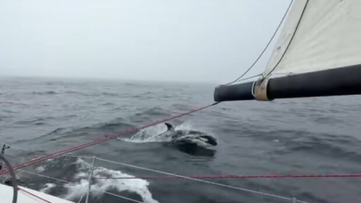 RORC Britanya ve İrlanda Turu Yarışı sadece dört yılda bir