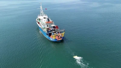 Kocaeli Büyükşehir Belediyesi, İzmit Körfezi’nin ekolojik yapısının korunması için çalışmalarına