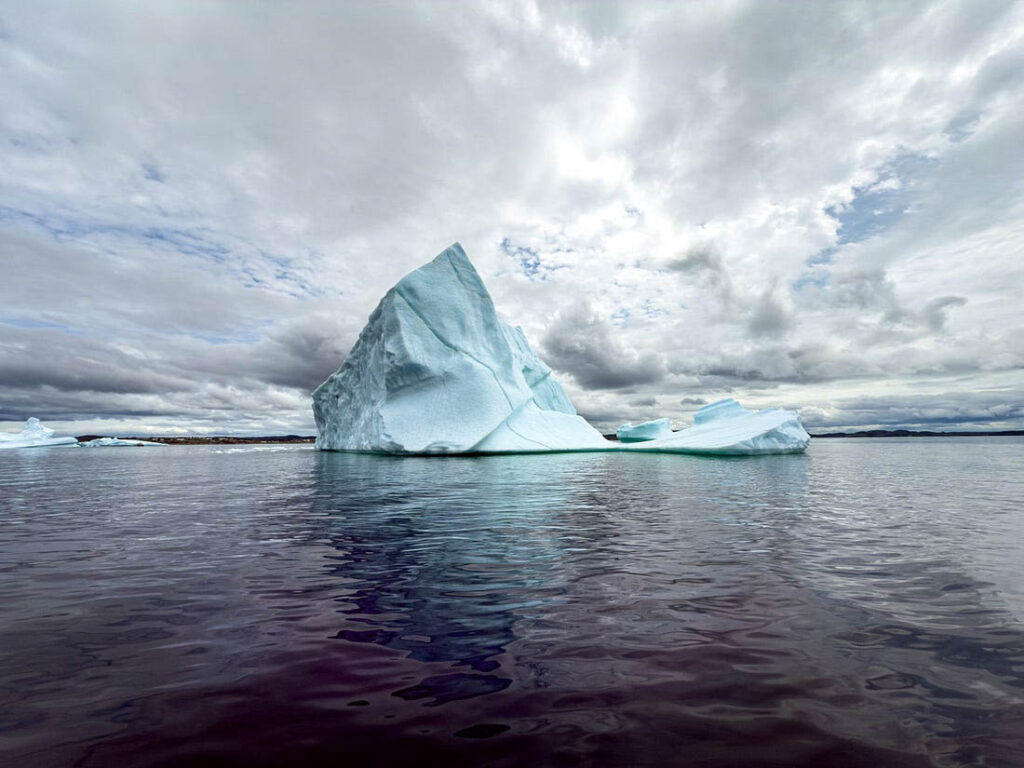 Ice, Ice, Baby A Frozen Gift to the Sea It’s early June in