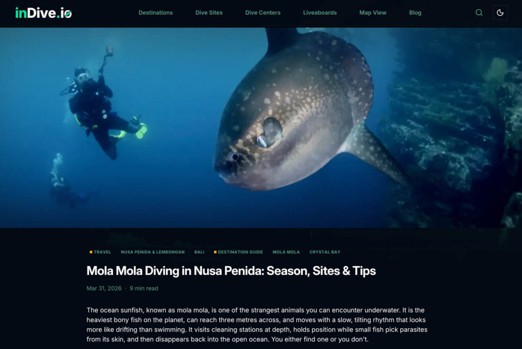 Indonesia’s vast and often overwhelming dive landscape has taken a