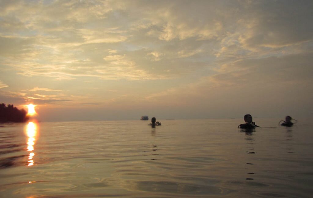 Does entry level dive training serve its purpose of producing