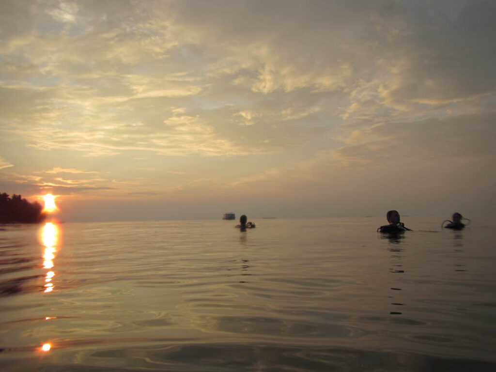Does entry level dive training serve its purpose of producing
