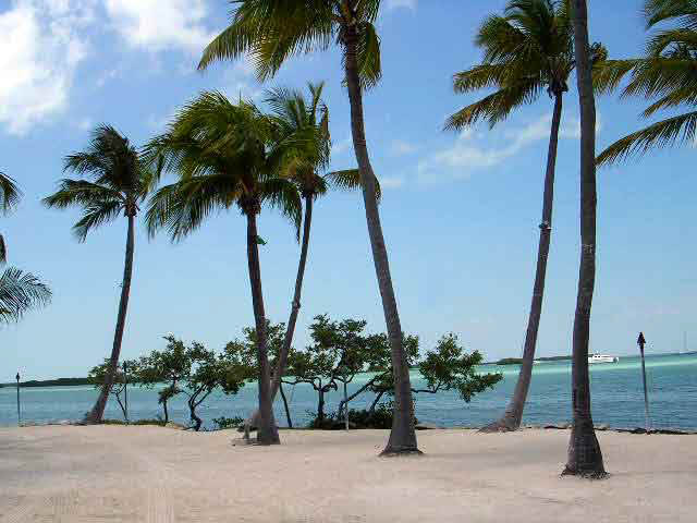 Missouri Diver Dies During Wreck Dive on the Eagle in the Florida Keys A recreational diver from Missouri has died following a wreck