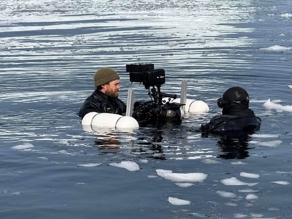 The Nature of Things: The Berg Begins This February on CBC, The Nature of Things returns with