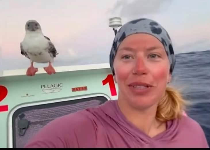 One woman, one 24-foot boat, and 2,400 miles of open