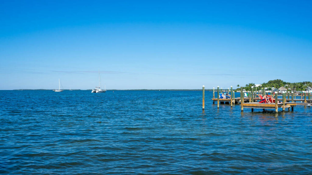 Favorite US Dive Sites for Beginners? Divers Reveal the Best Places to Build Confidence Underwater For many newly certified divers, the biggest question after completing