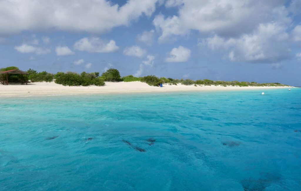 Bonaire, one of the Caribbean’s most beloved dive destinations, is