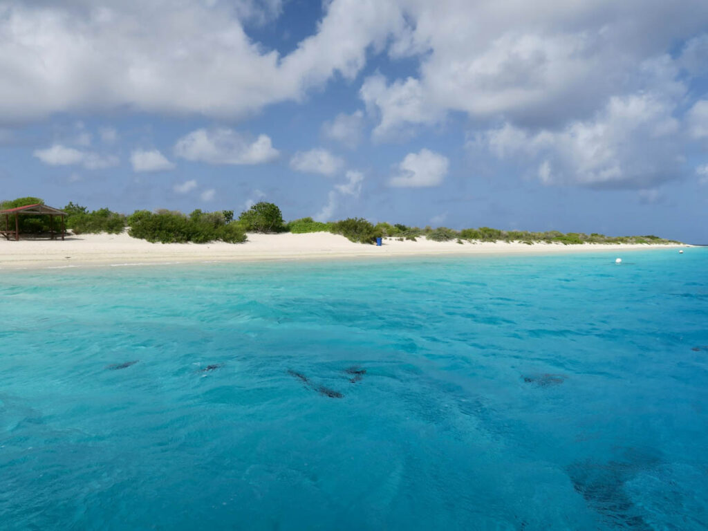 Bonaire, one of the Caribbean’s most beloved dive destinations, is