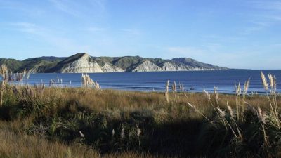A man has died following a diving incident off Wainuiorangi