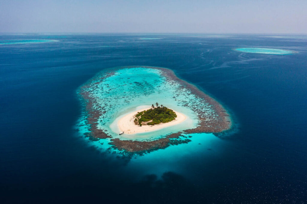 Top 100 Dive Destinations As Voted by Divers Ask enough divers where the world’s best diving is and