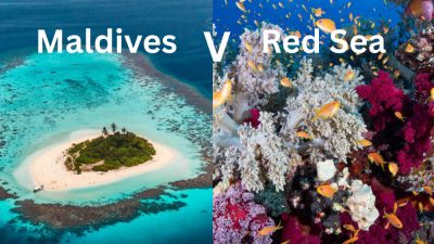   Choosing between the Red Sea and the Maldives is