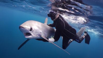 For more than three decades, Mark Erdmann has worked where