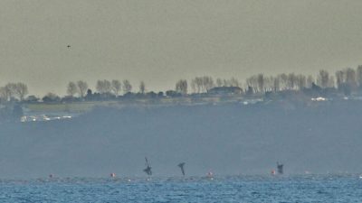 Specialist commercial divers and marine engineers have begun removing the