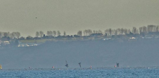 Uzman ticari dalgıçlar ve deniz mühendisleri, 80 yılı aşkın süredir