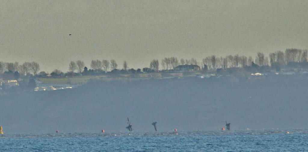 Specialist commercial divers and marine engineers have begun removing the