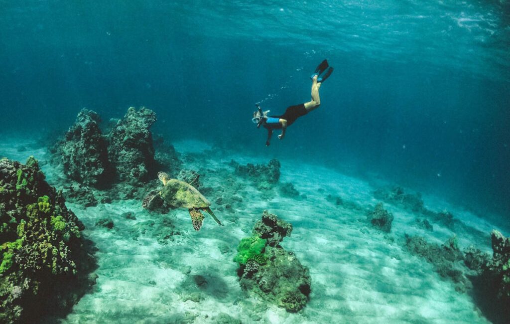 A new scuba diving app built from the ground up